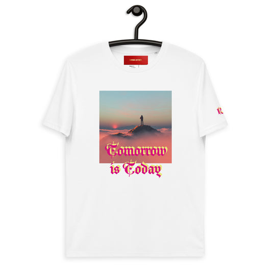 Camiseta de algodón orgánico unisex RZ